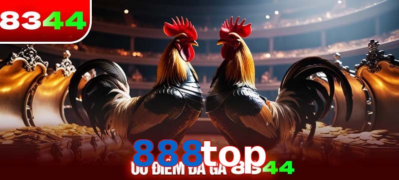 Thể loại đá gà 888top được ưa chuộng 