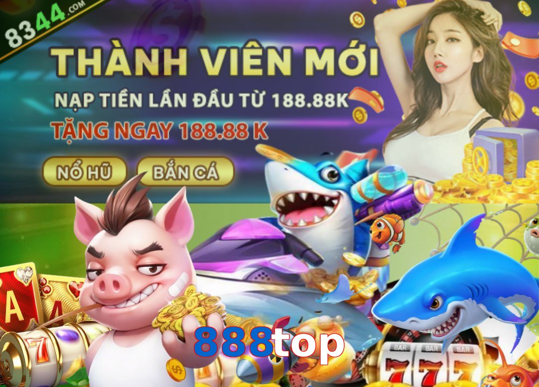 Tổng quan về nhà cái 888top